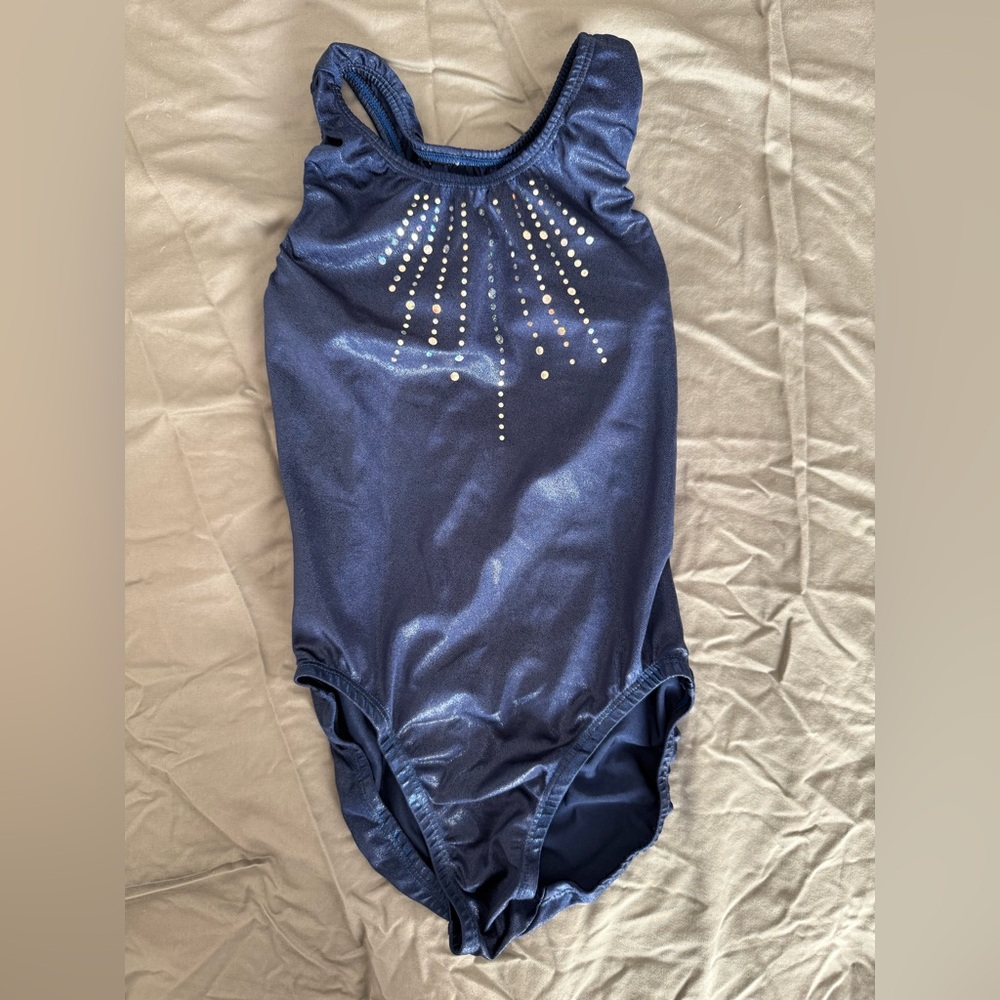 Shimmery Blue Leotard